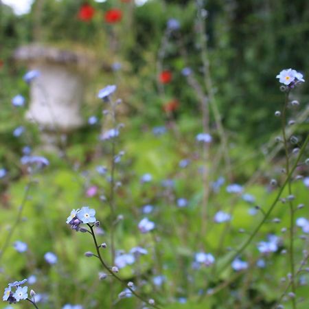 Le Gite Du Chene Rouvre Corbeil-Cerf Bagian luar foto