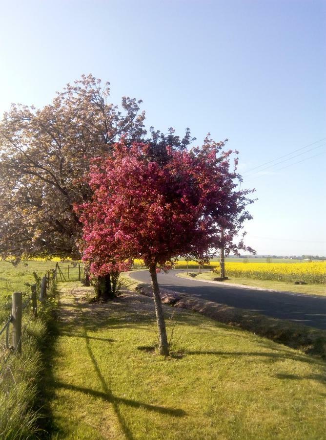 Le Gite Du Chene Rouvre Corbeil-Cerf Bagian luar foto