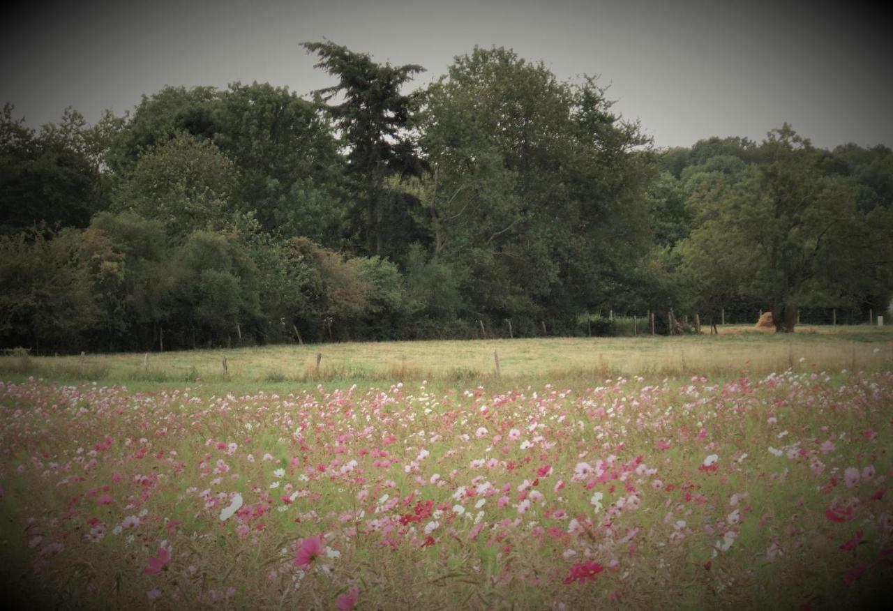 Le Gite Du Chene Rouvre Corbeil-Cerf Bagian luar foto