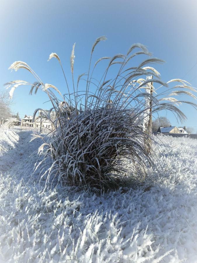 Le Gite Du Chene Rouvre Corbeil-Cerf Bagian luar foto